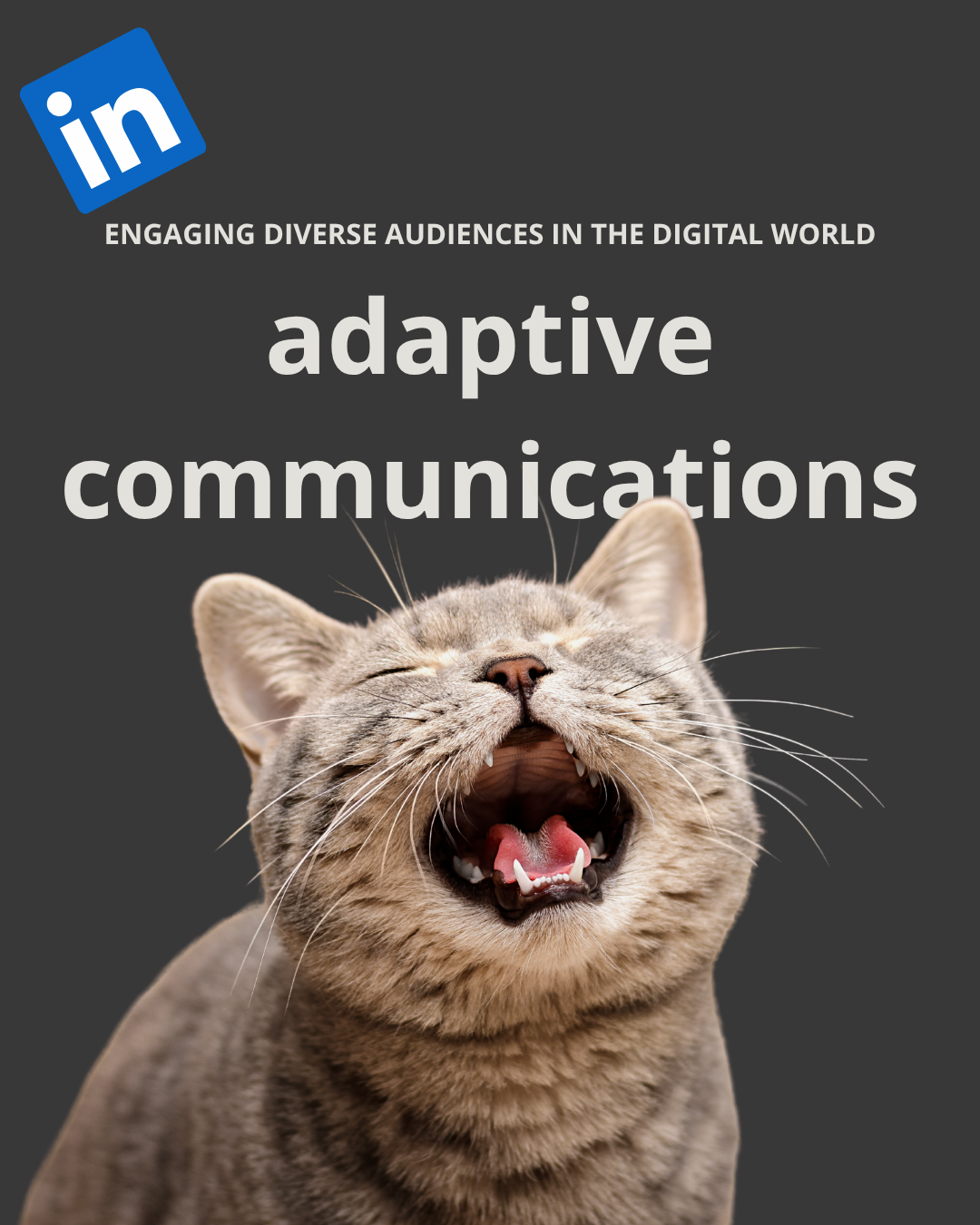 Adaptive Communications cover with a yawning cat on a dark ground.